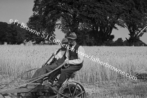 HARVESTING WHEAT